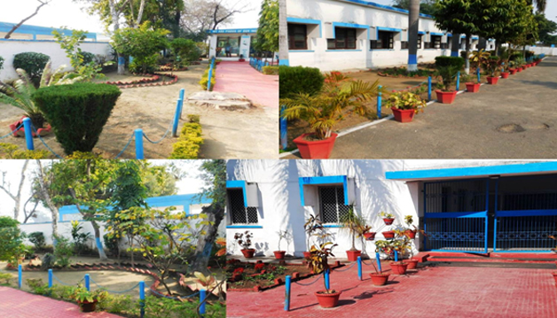 Green Initiative and Gardening